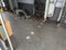 2017 Ford Transit-350 XL