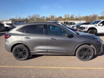 2024 Ford Escape ST-Line Elite