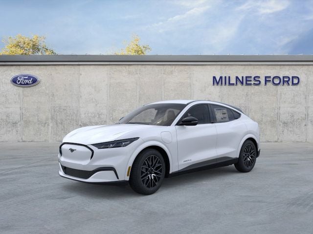 2026 Ford Mustang-Mach-e Premium's photo