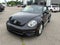 2019 Volkswagen Beetle Convertible 2.0T S